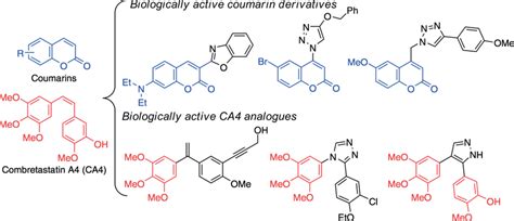 Structures Of Coumarin Ca4 And Several Biologically Active Coumarin