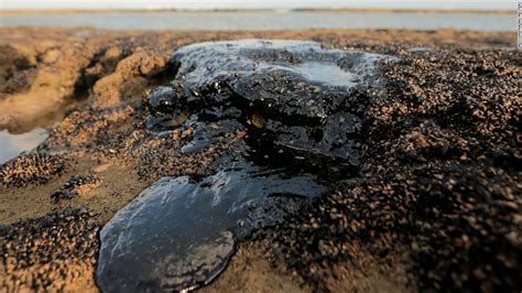 Brazils Oil Spill Could Be Criminal President Jair Bolsonaro Says Cnn