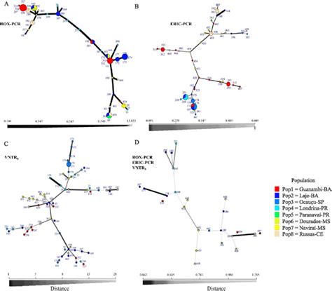 Scielo Brasil Genetic Diversity Of Xanthomonas Phaseoli P V