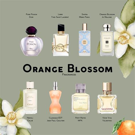 Orange Blossom Fragrances Perfumes Frescos Perfumes Essens Perfumeria