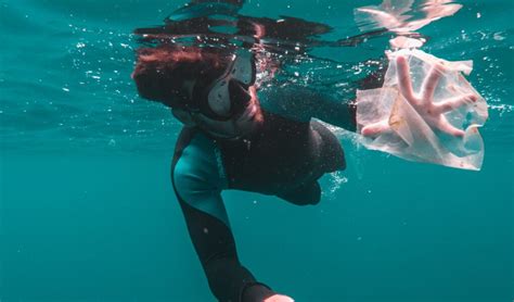 Cuánto tarda en degradarse el plástico biodegradable mimus mx