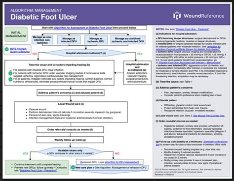 Diabetic Foot Ulcer Guidelines