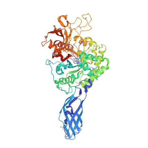 Rcsb Pdb Arx Crystal Structure Analysis Of Chitinase A From Vibrio