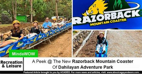 Look A Peek The New Razorback Mountain Coaster Of Dahilayan