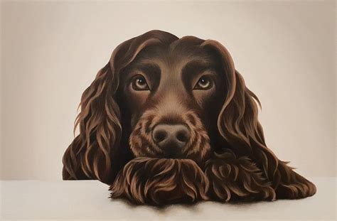 "Chocolate Cocker Spaniel" by Erin Hale. Paintings for Sale. Bluethumb ...