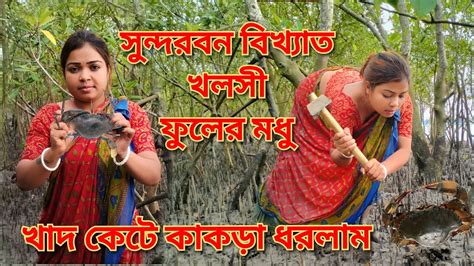 সুন্দরবন জঙ্গলে নদীর চরে খাদ কেটে কাঁকড়া ধরলাম । গভীর জঙ্গলে খলসি গাছের পরিচয় Youtube