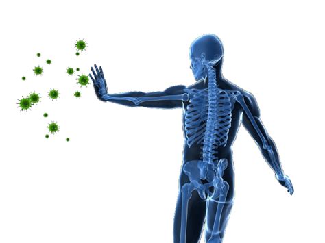 Exposicion Sistema Inmunológico ~ Introducción A La Naturaleza De Las Ciencias