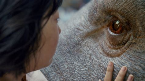 Bong Joon Ho Narrates a Scene From ‘Okja’ - The New York Times