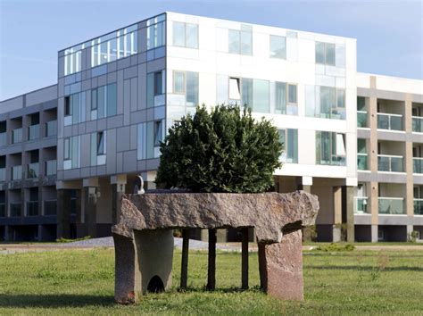 Sveikatos Centro „energetikas Skulptūrų Parkas „akmens Amžius