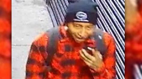 16 Year Old Groped And Robbed Aboard NYC Subway Train