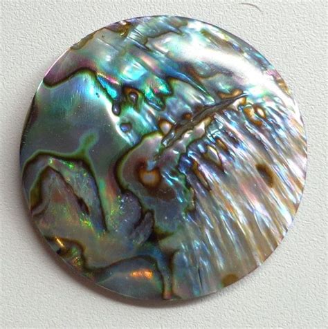 Abalone Paua Shell Cabochon 25mm Round By WindRiverGems On Etsy 2