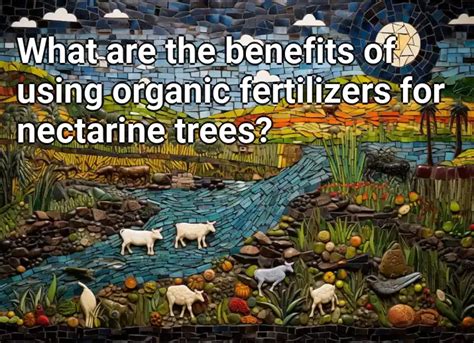 What Are The Benefits Of Using Organic Fertilizers For Nectarine Trees