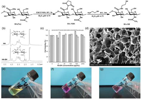 Crosslinking Method Of Hyaluronic Based Hydrogel For Biomedical