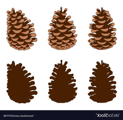 Pine Cone Vector At Vectorified Collection Of Pine Cone Vector