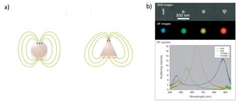 4 Schematic Diagram Of Lspr Of Nanoparticles With Two Different Shapes Download Scientific