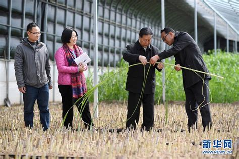 山海起新潮——闽宁对口扶贫协作开启新征程 新华网