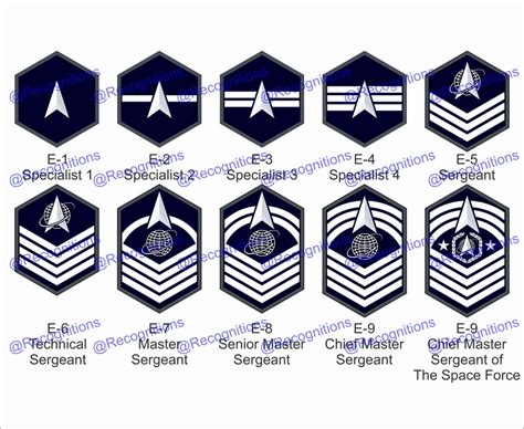 Unites States Space Force Enlisted Rank Vector File - Etsy