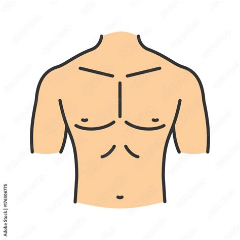 Muscular Male Chest Color Icon Stock Vektorgrafik Adobe Stock Clip