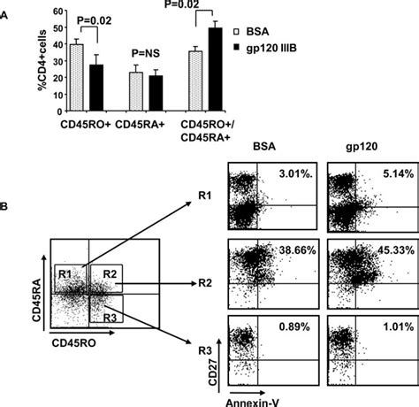 Cd4 T Cells Treated With Gp120 Acquire A Cd45r0cd45ra Phenotype