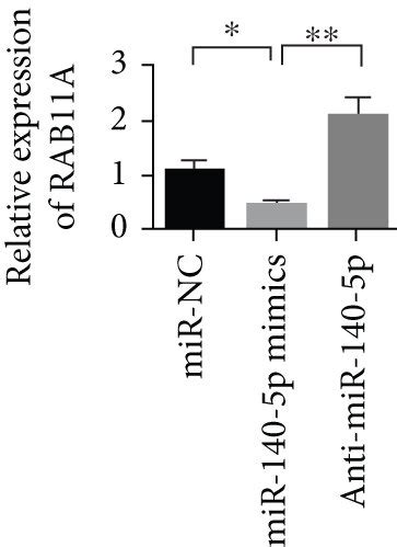 In Pituitary Adenomas MiR 140 5p Directly Targets RAB11A A