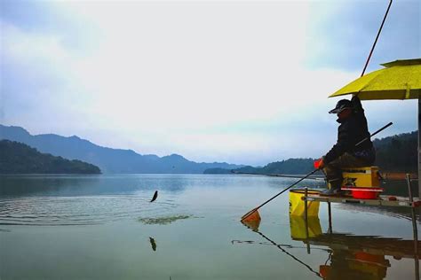 冬季钓鱼用什么打窝效果好？冬季钓鲤鱼、鲫鱼和青鱼的打窝技巧气味