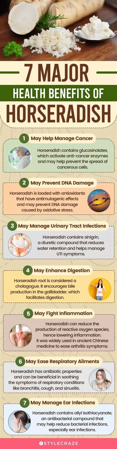 10 Major Health Benefits Of Horseradish Root You Should Know Today In