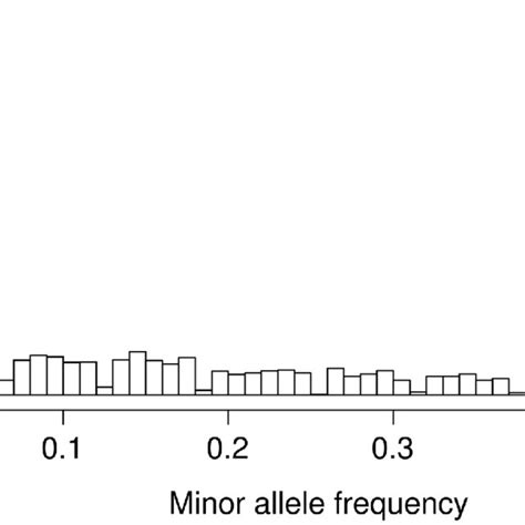 Distribution Of Minor Allele Frequencies Maf Among 4148 Snp Loci