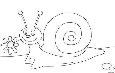 Coloriage Escargot Maternelle Cp Avec Une Fleur Jecolorie