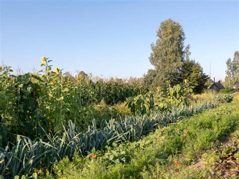 Qu Est Ce Que La Permaculture Les Thiques De La Conception De