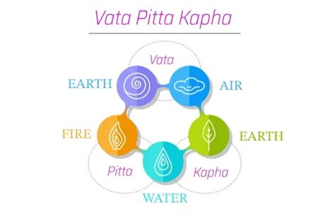 Your Health According To Vata Pitta And Kapha Vata Pitta Kapha Diet