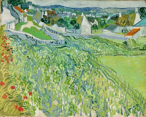 Vincent Van Gogh Vignes Vers Auvers Sur Oise Tableau De Grands