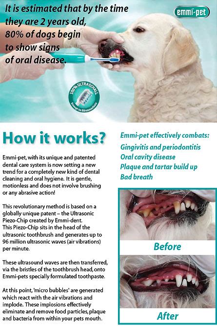 EMMI PET Teeth Cleaning Woofs Of Wixford