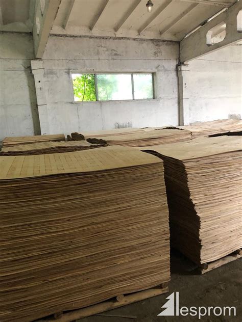 Birch Rotary Cut Veneer 1500 Mm X 1500 Mm X 2 Mm