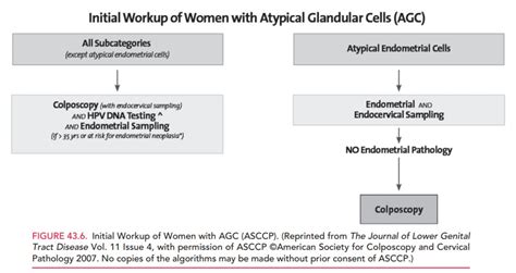 Management Guidelines For Cervical Epithelial Cell Abnormalities