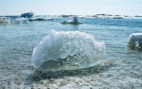 Riscaldamento Globale In Antartide Superati I Gradi I Ricercatori