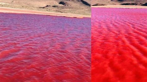 Misterioso fenómeno en Egipto El Río Nilo se tiñe de rojo ENNewsSV