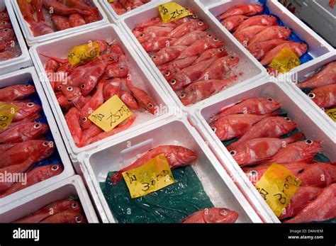 Red Snapper On Ice For Sale At Tsukiji Wholesale Fish Market The World