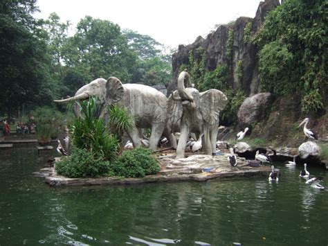 Zoo Of Jakarta (Ragunan) | Tour Jakarta