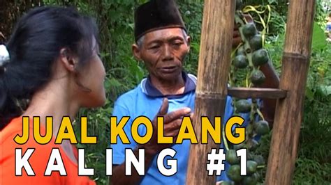 Kolang Kaling Merupakan Buah Yang Terdapat Pada Pohon Aren JIKA AKU