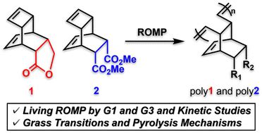 Ring Opening Metathesis Polymerization Of Ester Functionalized Endo