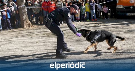 Burjassot Disfruta De Una Ma Ana De Divertidas Y Educativas Actividades