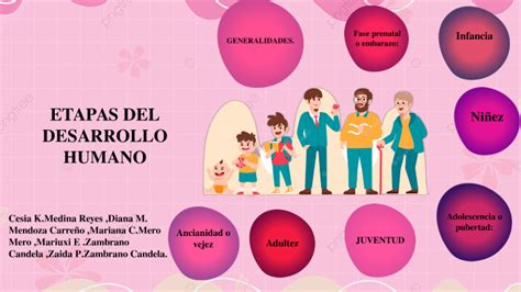 Etapas Del Desarrollo Humano By Zaida Patricia Zambrano Candela On Prezi