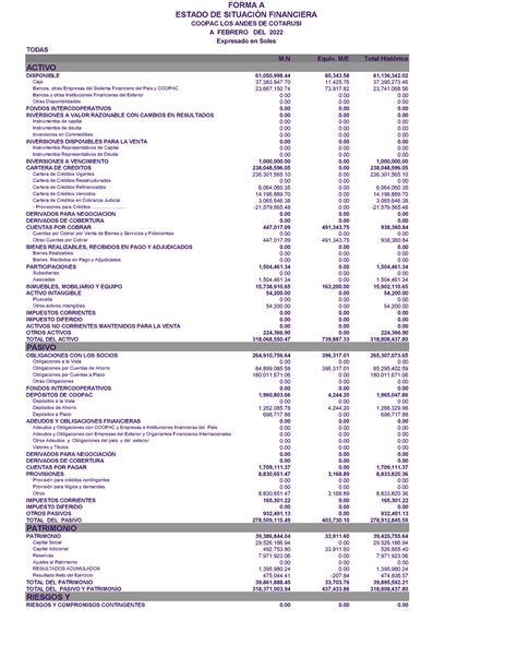 Estado DE Situacion Financiera Febrero 2022 M 0 0