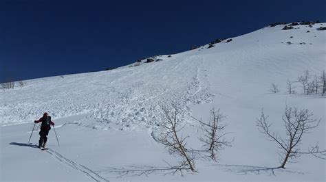 Mt Reba Loose Wet Avalanche Sierra Avalanche Center