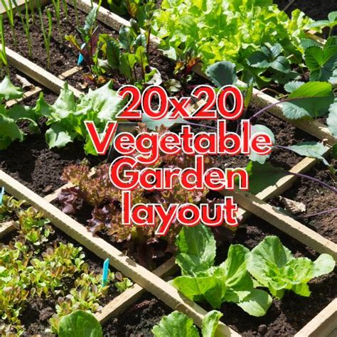 Create A Lush 20x20 Vegetable Garden Layout With This Step By Step Guide