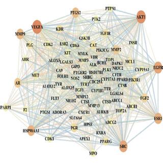 A Herbal Compound Target Network Construction Orange Quadrilaterals