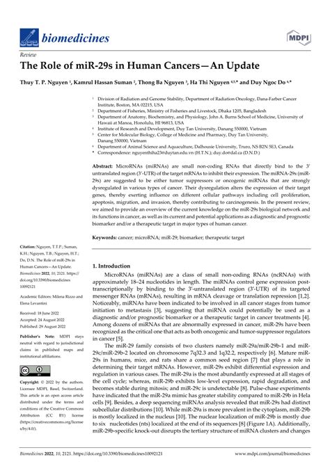 Pdf The Role Of Mir S In Human Cancersan Update