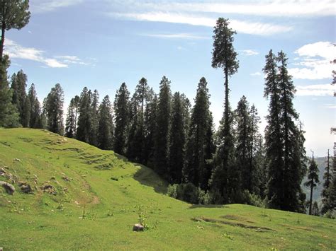 Thandiani & Abbottabad Tour | Silkroad Guides