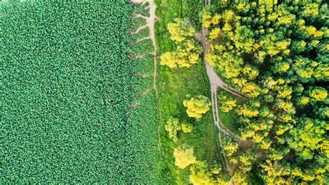 中国 新しい時期の生物多様性保護戦略を明確化