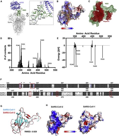 Molecular Modeling Of The Sars Cov Spike Rbd Interaction With Heparin